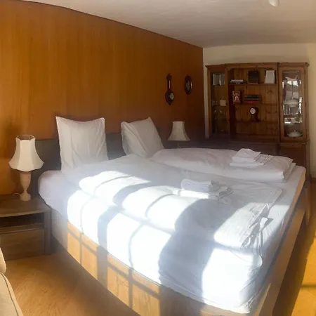 Chalet Baerli Lauterbrunnen Buitenkant foto